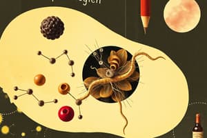 Lipid Digestion and Transport Overview