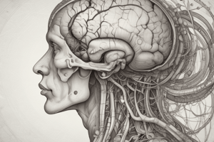 Neurosciences: Cellular to Neuronal Functions