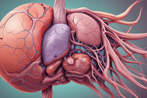 Hepatobiliary System Function and Structure