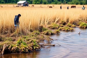 Sustainability Reporting & Assurance