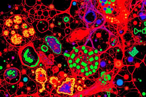 Microscopy Techniques and Fractionation Methods