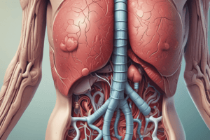 Anatomy of the Digestive System