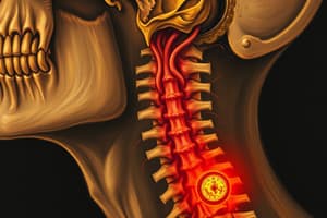 Sistema Trigeminal y Transmisión del Dolor