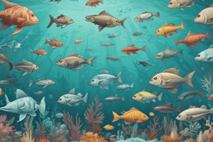 Ocean Food Chain