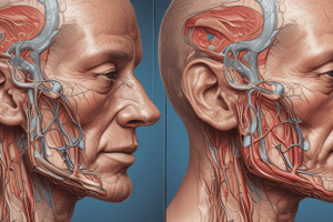 Parotid Gland and Facial Nerve Anatomy