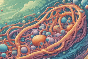 Cell Membrane and Transport Mechanisms