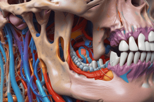 BMS 133: Infratemporal Fossa and TMJ Quiz