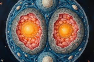 Cell Cycle