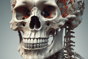 ANATOMY AND PHYSIOLOGY AXIAL AND APPENDICULAR