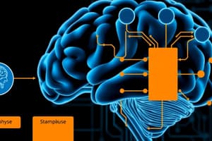 Stages of Information Processing in Motor System