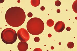 Erythropoiesis Overview