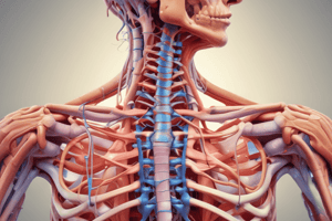 Common Neuro-Musculoskeletal Conditions of the Thoracic Spine