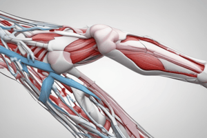 Causes of Brachial Plexus Injuries