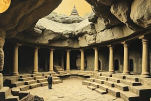 A Passage to India: Caves and Wasps