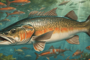 Population Demographics & Dynamics: Asian Carp Invasion