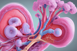 Urologic and Nephrological Imaging Techniques