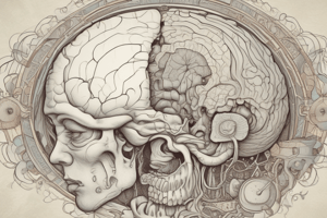 Hydrocephalus in Newborns