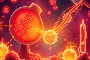 Cellular Respiration and Fermentation Quiz