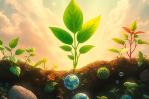 Photosynthesis and Its Factors