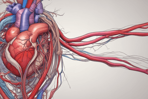 Coronary Vessels: Anatomy and Functions of the Heart's Blood Supply