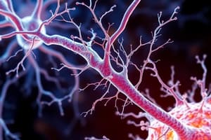 Nervous System Quiz