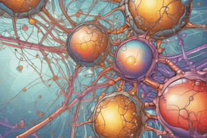 Introduction to Endocrine Physiology (Medium)