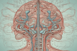 Autonomic Nervous System Basics