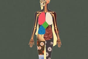 Human Body Organization and Tissue Types