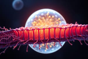 Selective Permeability of Plasma Membrane