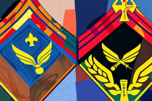 Civil Air Patrol Cadet Insignia Flashcards