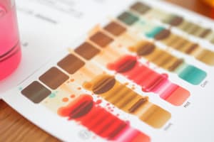 Paper Chromatography Techniques