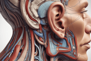 Ear Anatomy and Physiology