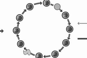 The Cell Cycle