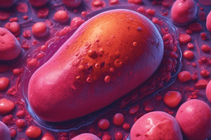 Hepatocytes Swelling and Necrosis Quiz