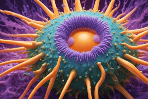 Sea Urchin Fertilization Process