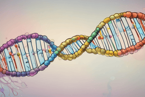 Molecular Biology: DNA Replication