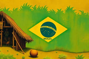 Brazil's Pre-Colonial and Colonial Periods