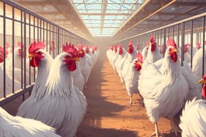 Poultry Production Systems Overview