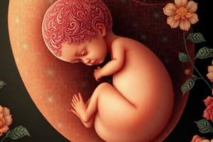 Prenatal Development: Germinal, Embryonic, Fetal