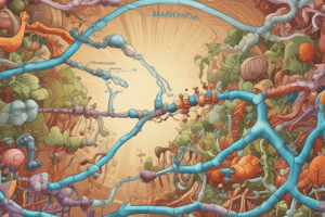 Regulation of Glycolysis Enzymes