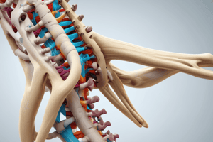 Vertebral Spine Mobility