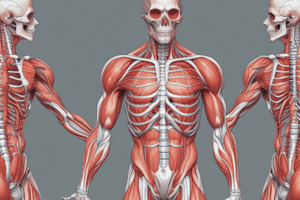 Muscle Physiology: Skeletal Muscle Lecture 3