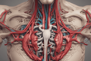 Anatomy LE 1: Upper Limb Blood Supply and Venous and Lymphatic Drainage