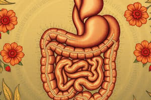 Biology Chapter 23: Body Systems Overview