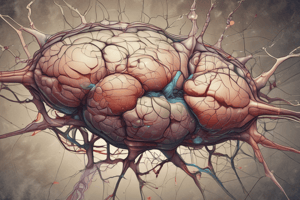 Hypothalamic Nuclei and Structures