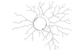 Modalità di Comunicazione Intercellulare (Fisiologia 54)