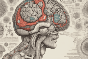 Brain Lobes and Functions Quiz