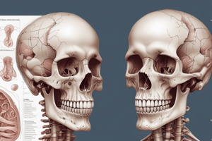 Pathology of Bone Neoplastic Disorders Quiz