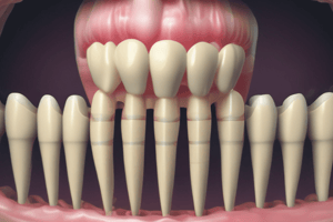 Mineral Trioxide Aggregate (MTA) in Endodontics