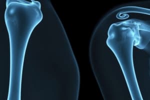 Shoulder AP Projection: External Rotation